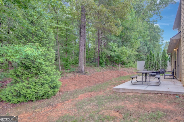 108 Village Pl, Newnan, GA 30265 - view of yard featuring a patio area