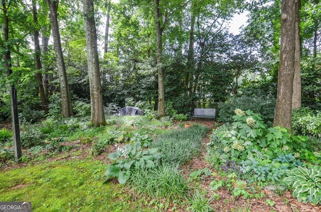 4714 Marc Ct SW, Lilburn, GA 30047 - view of undeveloped land