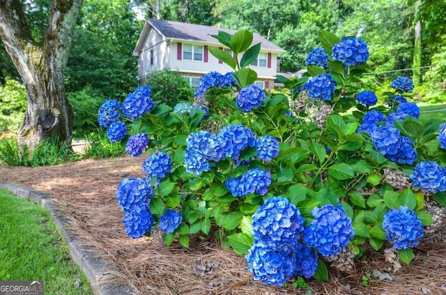 4714 Marc Ct SW, Lilburn, GA 30047 - view of yard