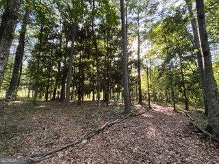 202 E Oak St, Luthersville, GA 30251 - view of undeveloped land