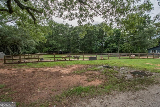 202 E Oak St, Luthersville, GA 30251 - view of yard featuring a shed and a forest view