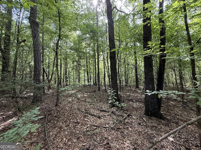 9.07ACRES US Highway 80 W Lot # 1, Roberta, GA 31078