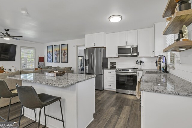 322 Pea Ridge Rd, Franklin, GA 30217 - kitchen with stainless steel appliances, open shelves, open floor plan, and a ceiling fan