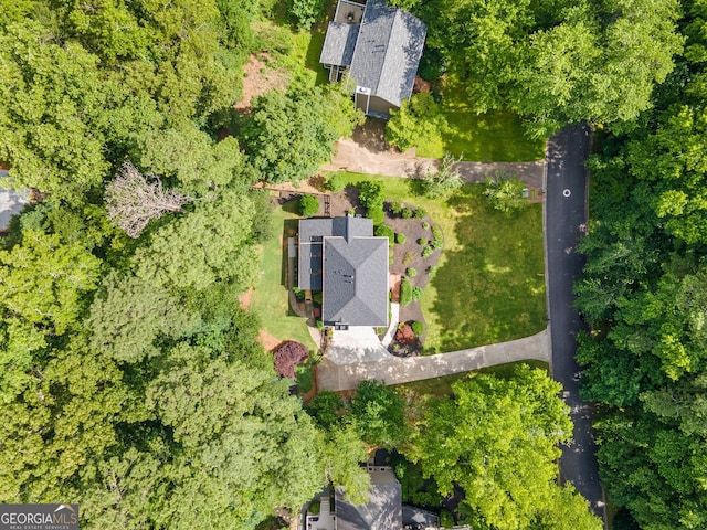 2502 Tritt Springs Trce NE, Marietta, GA 30062 - drone / aerial view