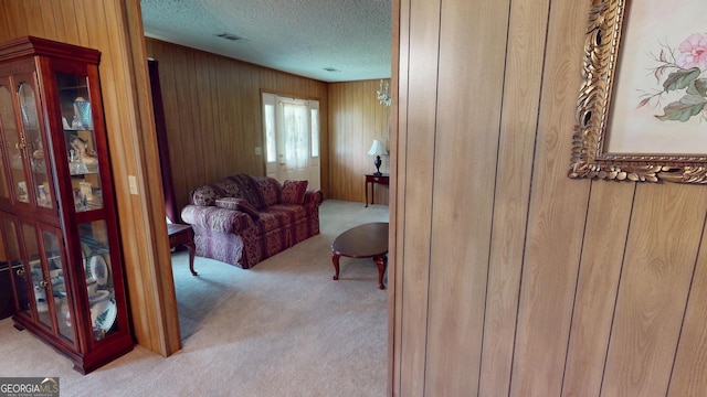 895 Ga Highway 57, Kite, GA 31049 - living room with carpet, a textured ceiling, and wooden walls