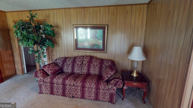 895 Ga Highway 57, Kite, GA 31049 - carpeted living area with wood walls