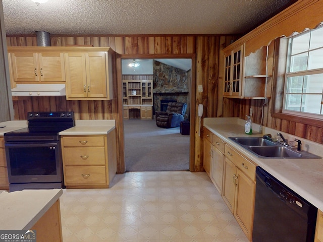895 Ga Highway 57, Kite, GA 31049 - kitchen with stainless steel range with electric stovetop, dishwasher, wood walls, under cabinet range hood, and light flooring