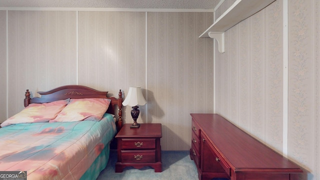 895 Ga Highway 57, Kite, GA 31049 - view of bedroom