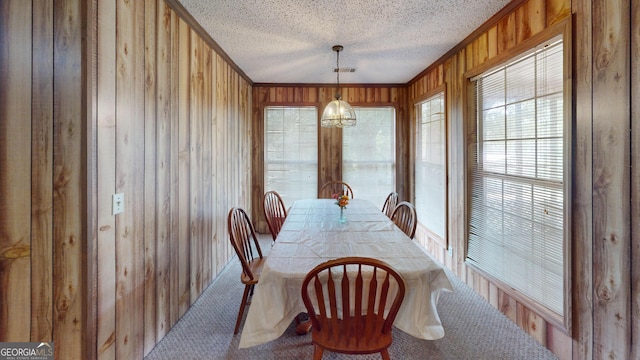 895 Ga Highway 57, Kite, GA 31049 - carpeted dining space featuring wooden walls, ornamental molding, and a textured ceiling