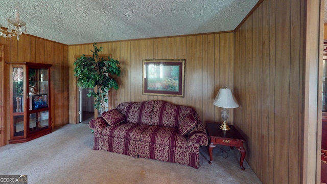 895 Ga Highway 57, Kite, GA 31049 - living area with a textured ceiling, carpet, wooden walls, and ornamental molding