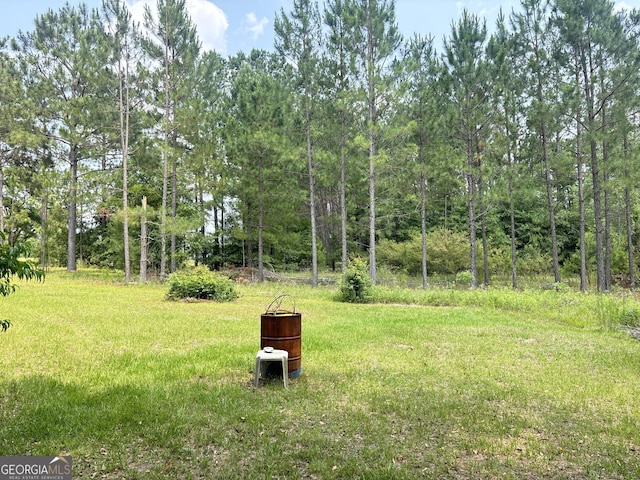 895 Ga Highway 57, Kite, GA 31049 - view of grassy yard featuring a view of trees
