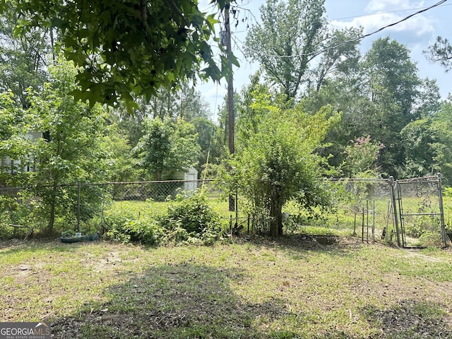 895 Ga Highway 57, Kite, GA 31049 - view of yard