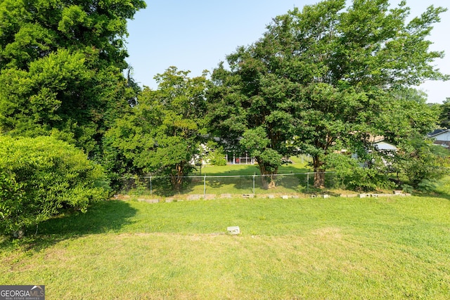 3027 Lansing Ave, Columbus, GA 31907 - view of yard