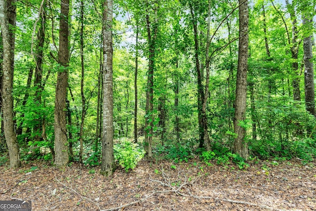 2964 Whitesville Rd, Lagrange, GA 30240