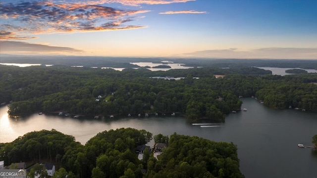 4451 Shellie Ln, Oakwood, GA 30566 - aerial view at dusk of a water view and a view of trees