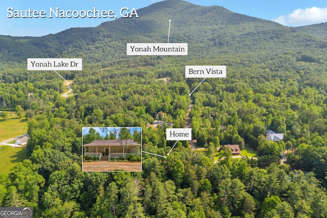 15 Bern Vis, Sautee Nacoochee, GA 30571 - view of property location featuring property boundaries highlighted and a mountainous background
