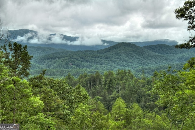 330 Serenity Ridge Ln, Mineral Bluff, GA 30559 - view of mountain backdrop featuring a forest