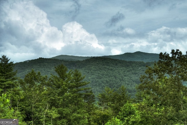 330 Serenity Ridge Ln, Mineral Bluff, GA 30559 - view of mountain backdrop