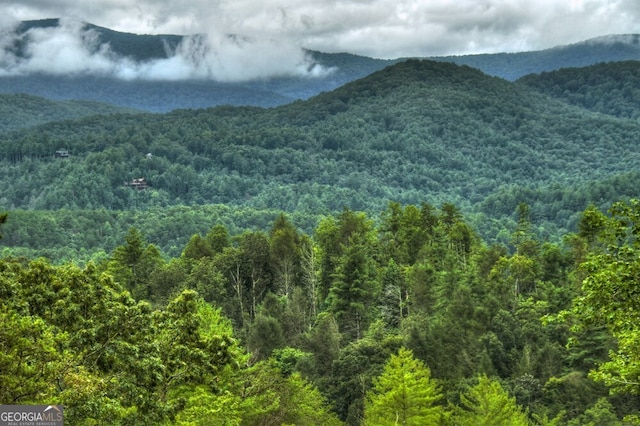 330 Serenity Ridge Ln, Mineral Bluff, GA 30559 - mountain view featuring a forest