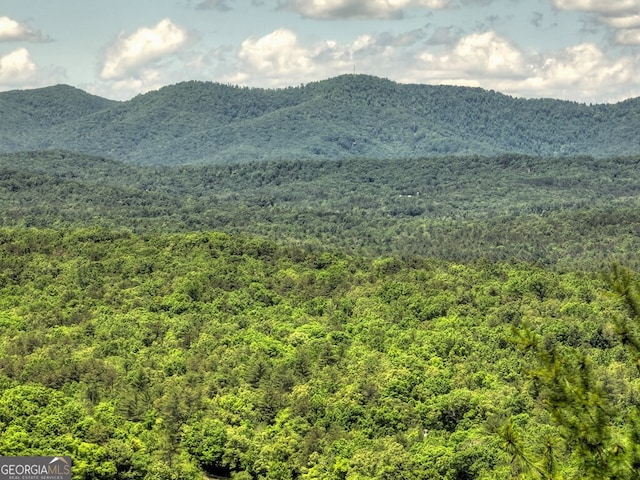 330 Serenity Ridge Ln, Mineral Bluff, GA 30559 - view of mountain background featuring a forest