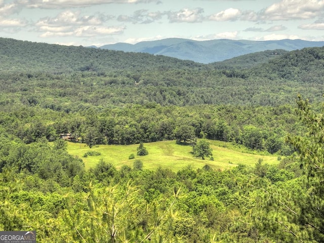330 Serenity Ridge Ln, Mineral Bluff, GA 30559 - view of mountain backdrop with a heavily wooded area