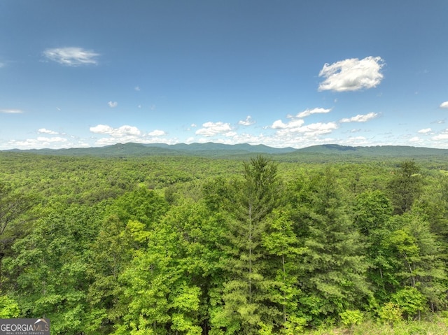 330 Serenity Ridge Ln, Mineral Bluff, GA 30559 - mountain view featuring a forest