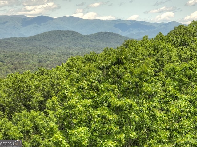 330 Serenity Ridge Ln, Mineral Bluff, GA 30559 - mountain view with a heavily wooded area