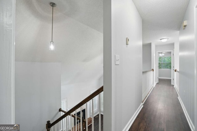 46 Highland Ct, Carrollton, GA 30116 - hallway with an upstairs landing, wood finished floors, and a textured ceiling