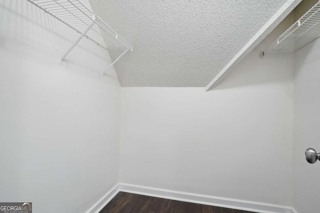 46 Highland Ct, Carrollton, GA 30116 - spacious closet featuring dark wood-style flooring and vaulted ceiling