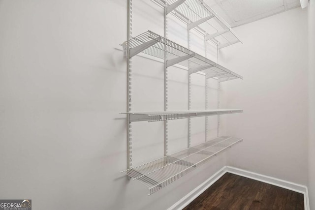 46 Highland Ct, Carrollton, GA 30116 - walk in closet with wood finished floors
