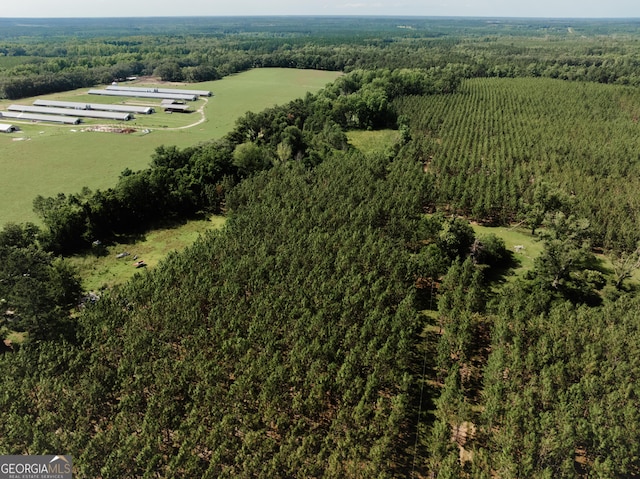9027 Ga Highway 144 NE, Surrency, GA 31563