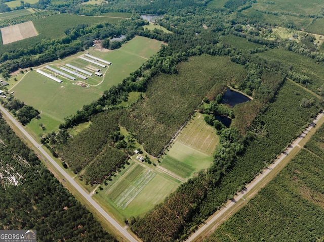 9027 Ga Highway 144 NE, Surrency, GA 31563
