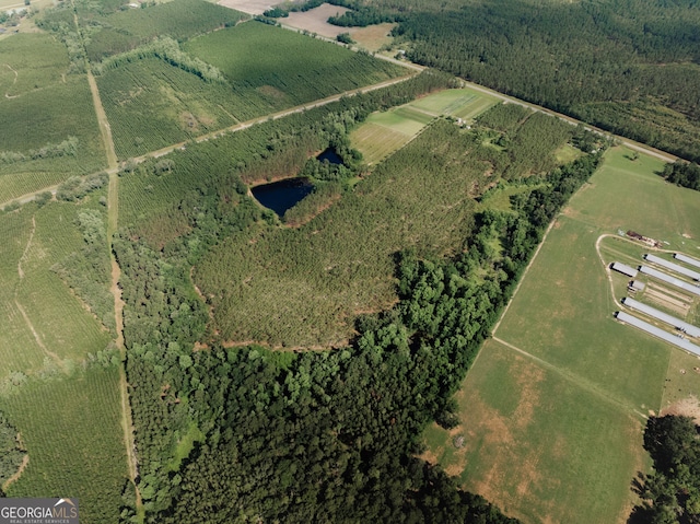 9027 Ga Highway 144 NE, Surrency, GA 31563