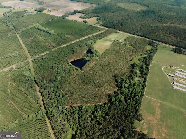 9027 Ga Highway 144 NE, Surrency, GA 31563