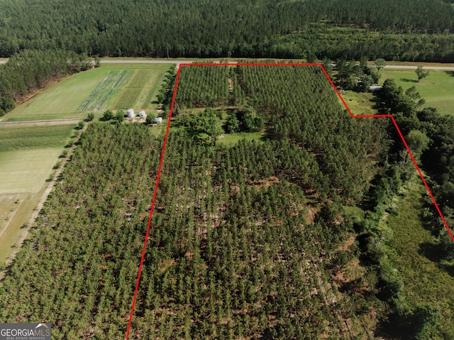 9027 Ga Highway 144 NE, Surrency, GA 31563