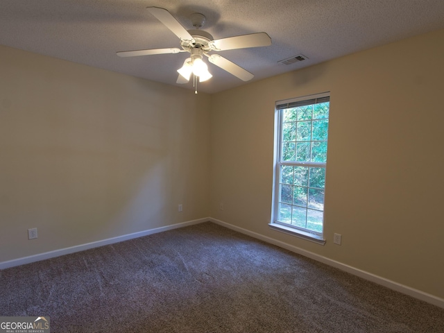 13 Pine Shadow Ct, Centerville, GA 31028 - spare room with plenty of natural light, carpet flooring, a ceiling fan, and a textured ceiling