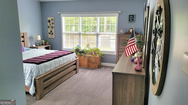 223 Overland Trl, Mcdonough, GA 30252 - carpeted bedroom with multiple windows