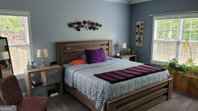 223 Overland Trl, Mcdonough, GA 30252 - carpeted bedroom featuring ornamental molding