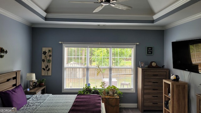 223 Overland Trl, Mcdonough, GA 30252 - bedroom featuring a raised ceiling, multiple windows, ornamental molding, and ceiling fan