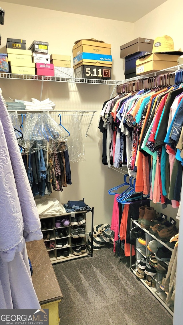 223 Overland Trl, Mcdonough, GA 30252 - walk in closet featuring carpet floors