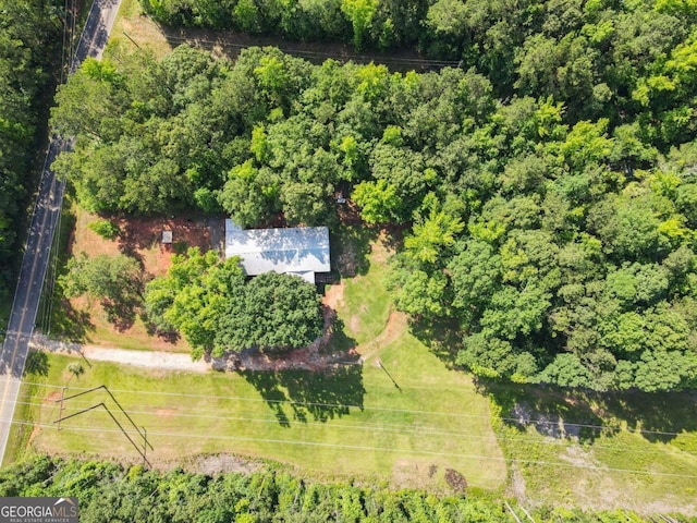381 Jim Turner Rd, West Point, GA 31833 - aerial view