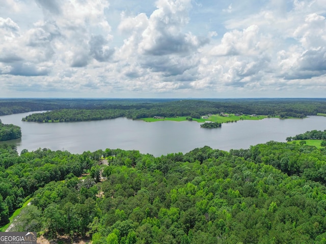 35 Cornish Creek Ln, Covington, GA 30014 - bird's eye view of a forest and a large body of water