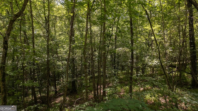 0 Frolona Rd, Franklin, GA 30217