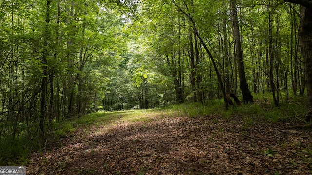 0 Frolona Rd, Franklin, GA 30217
