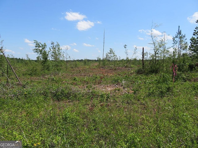 0 Goolsby Rd, Ellaville, GA 31806