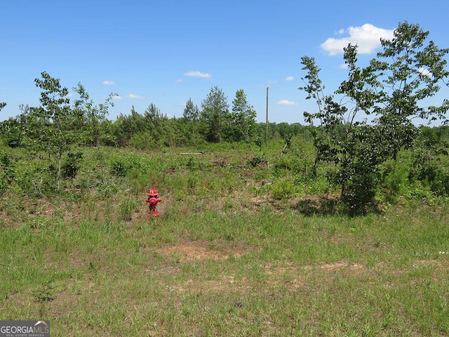 0 Goolsby Rd, Ellaville, GA 31806