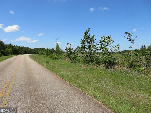 0 Goolsby Rd, Ellaville, GA 31806