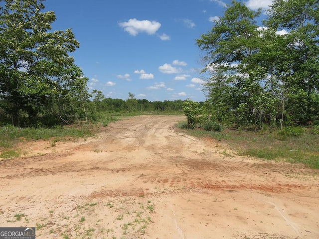 0 Goolsby Rd, Ellaville, GA 31806