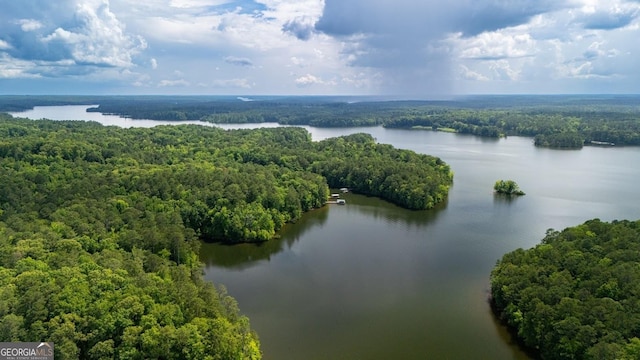 348 Willow Pointe Dr, Lagrange, GA 30240 - bird's eye view of a heavily wooded area and a large body of water