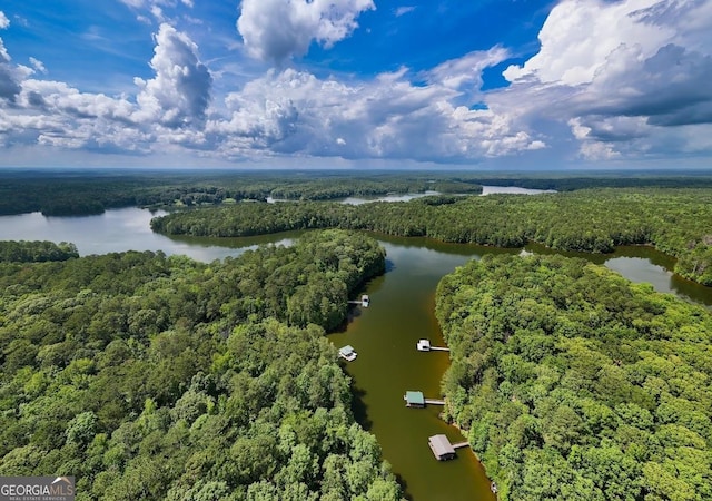 348 Willow Pointe Dr, Lagrange, GA 30240 - drone / aerial view of a large body of water